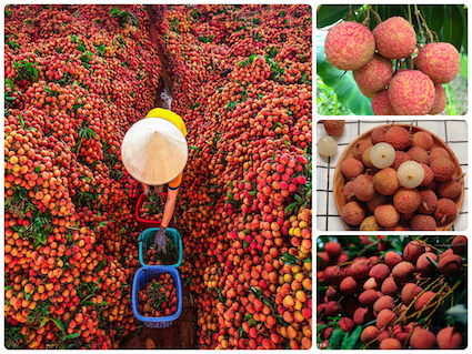 9[-]Kỷ[-]lục[-]Châu[-]Á[-]mới[-]cho[-]các[-]món[-]ăn/nhóm[-]món[-]ăn,[-]đặc[-]sản[-]nổi[-]tiếng[-]Việt[-]Nam